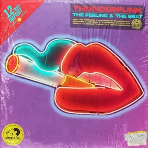 Thunderfunk - The Feeling & The Beat